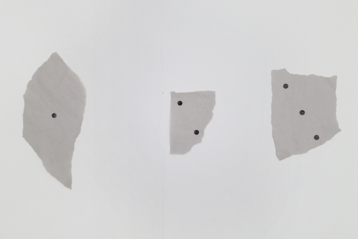 Elsa Werth, Vue d’exposition, Quelques manuscrits trouvés dans une cervelle_5